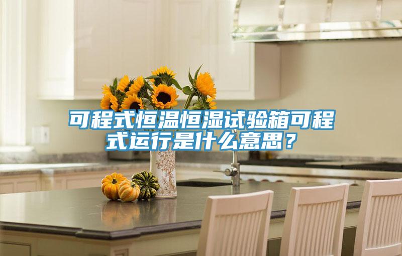 可程式恒溫恒濕試驗箱可程式運行是什么意思？
