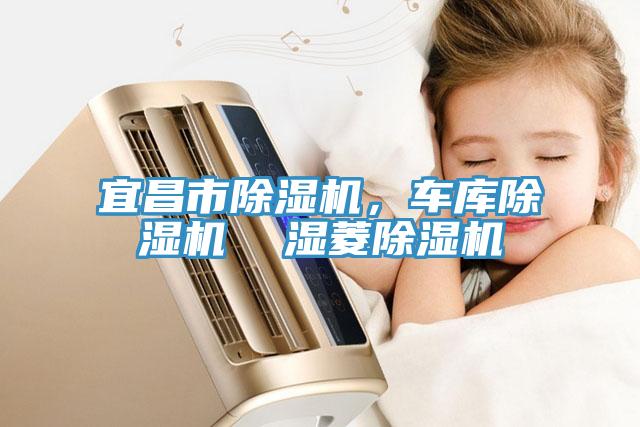 宜昌市除濕機(jī)，車庫除濕機(jī)  濕菱除濕機(jī)