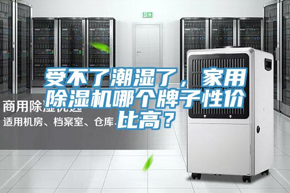 受不了潮濕了，家用除濕機哪個牌子性價比高？