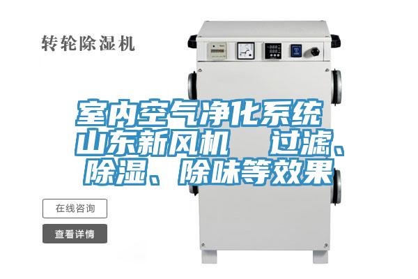 室內(nèi)空氣凈化系統(tǒng) 山東新風(fēng)機(jī)  過(guò)濾、除濕、除味等效果