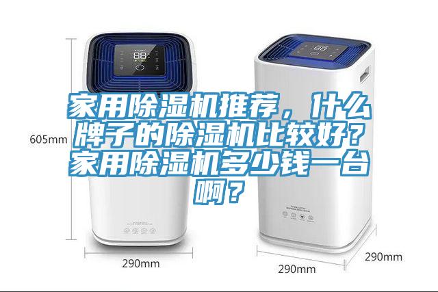 家用除濕機(jī)推薦，什么牌子的除濕機(jī)比較好？家用除濕機(jī)多少錢一臺(tái)??？