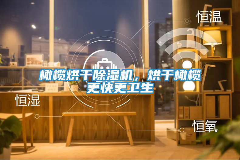 橄欖烘干除濕機(jī)，烘干橄欖更快更衛(wèi)生