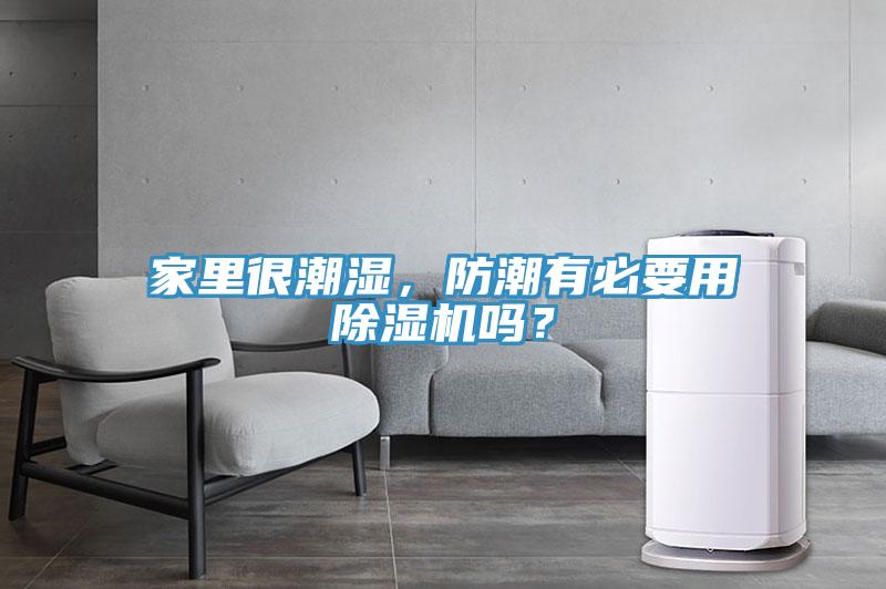 家里很潮濕，防潮有必要用除濕機嗎？