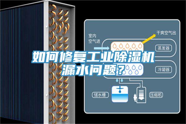 如何修復(fù)工業(yè)除濕機漏水問題？