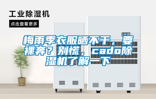 梅雨季衣服曬不干，要裸奔？別慌，cado除濕機(jī)了解一下