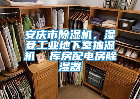 安慶市除濕機(jī)，濕菱工業(yè)地下室抽濕機(jī)  庫房配電房除濕器