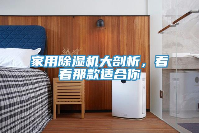家用除濕機(jī)大剖析，看看那款適合你