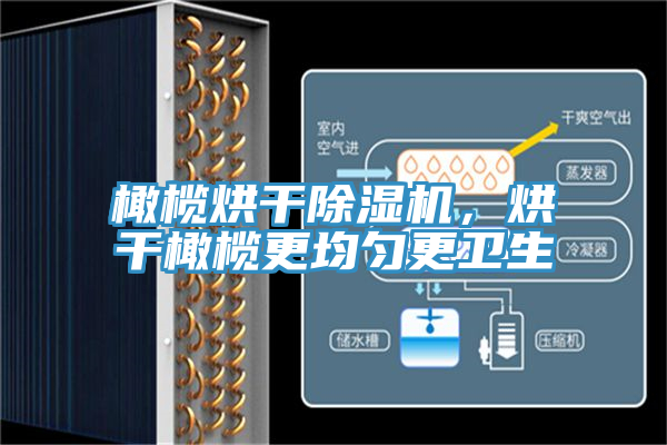 橄欖烘干除濕機(jī)，烘干橄欖更均勻更衛(wèi)生