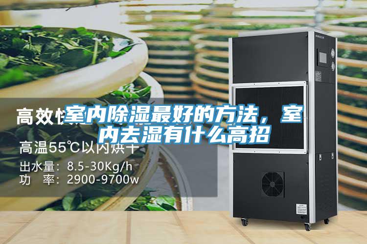 室內(nèi)除濕最好的方法，室內(nèi)去濕有什么高招