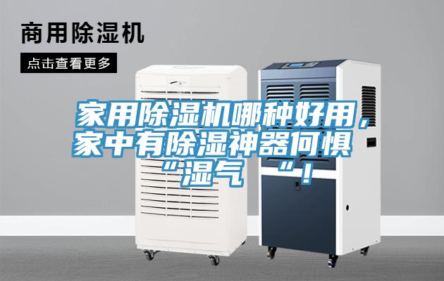 家用除濕機(jī)哪種好用，家中有除濕神器何懼 “濕氣 “！