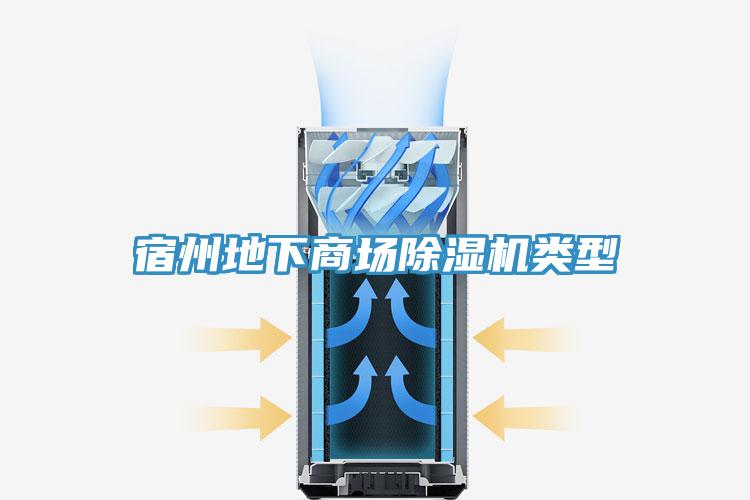 宿州地下商場(chǎng)除濕機(jī)類型