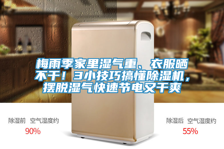 梅雨季家里濕氣重、衣服曬不干！3小技巧搞懂除濕機(jī)，擺脫濕氣快速節(jié)電又干爽