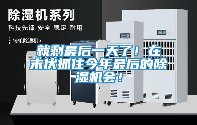就剩最后一天了！在末伏抓住今年最后的除濕機會！