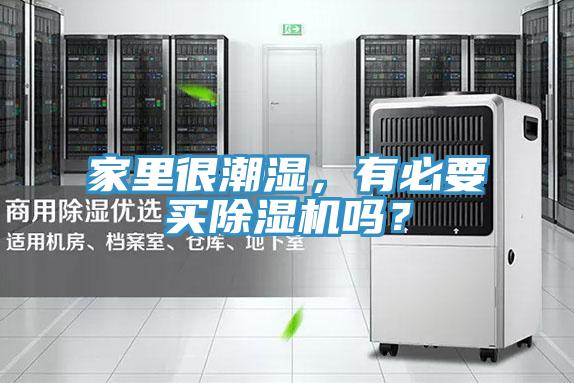 家里很潮濕，有必要買除濕機嗎？