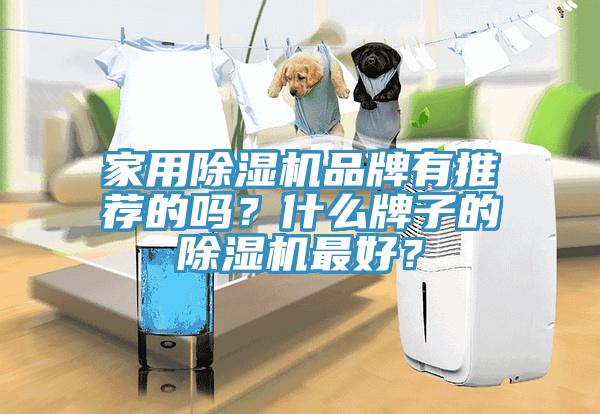 家用除濕機(jī)品牌有推薦的嗎？什么牌子的除濕機(jī)最好？