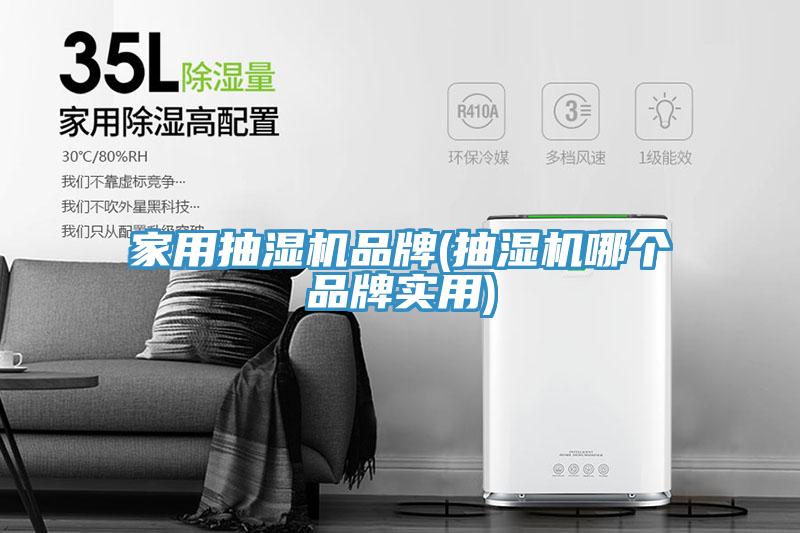 家用抽濕機(jī)品牌(抽濕機(jī)哪個品牌實(shí)用)