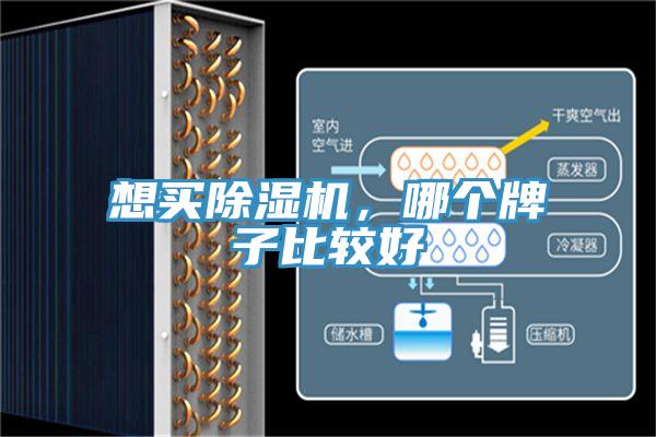 想買(mǎi)除濕機(jī)，哪個(gè)牌子比較好