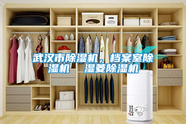 武漢市除濕機(jī)，檔案室除濕機(jī)  濕菱除濕機(jī)