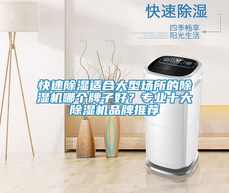 快速除濕適合大型場(chǎng)所的除濕機(jī)哪個(gè)牌子好？專業(yè)十大除濕機(jī)品牌推薦