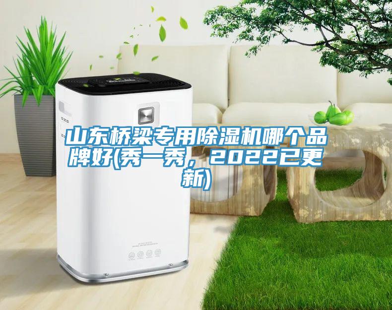 山東橋梁專用除濕機哪個品牌好(秀一秀，2022已更新)