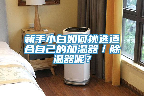 新手小白如何挑選適合自己的加濕器／除濕器呢？