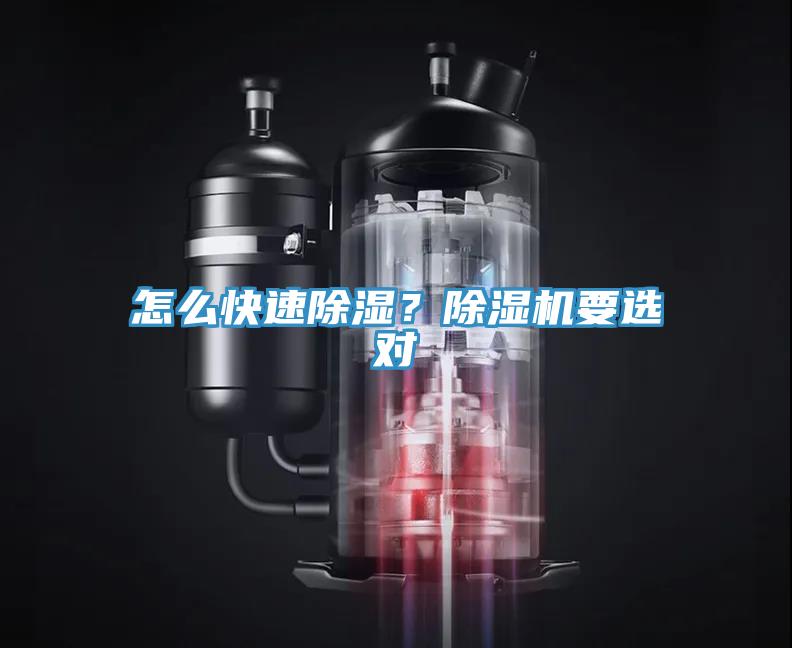 怎么快速除濕？除濕機要選對