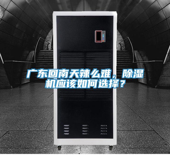 廣東回南天辣么難，除濕機應該如何選擇？