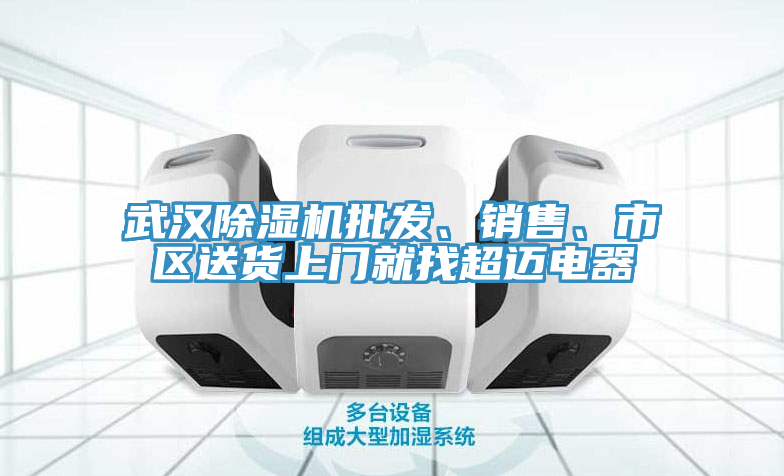 武漢除濕機(jī)批發(fā)、銷售、市區(qū)送貨上門就找超邁電器