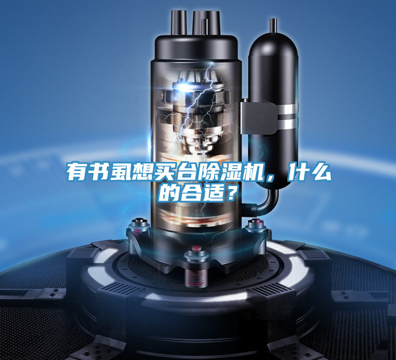 有書虱想買臺除濕機，什么的合適？