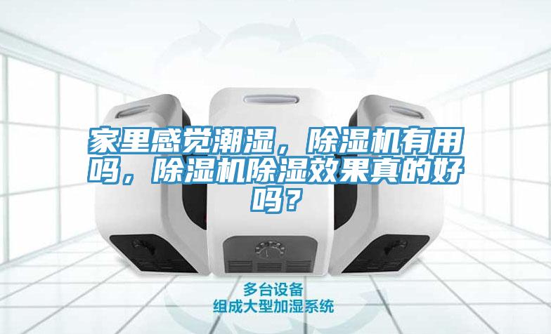 家里感覺潮濕，除濕機(jī)有用嗎，除濕機(jī)除濕效果真的好嗎？