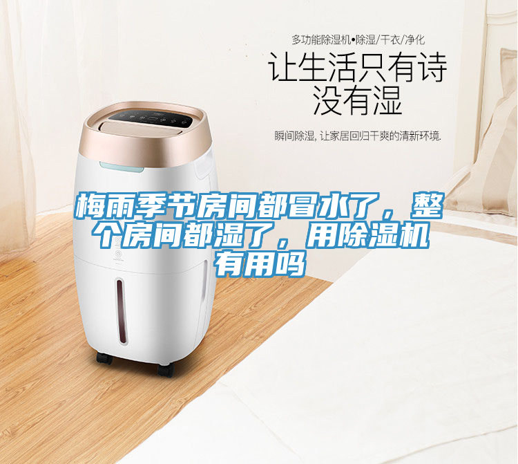 梅雨季節(jié)房間都冒水了，整個房間都濕了，用除濕機(jī)有用嗎