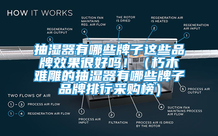 抽濕器有哪些牌子這些品牌效果很好嗎?。ㄐ嗄倦y雕的抽濕器有哪些牌子品牌排行采購榜）