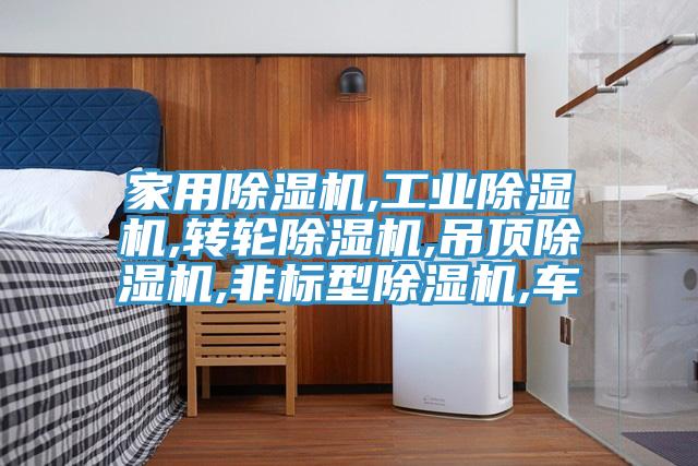 家用除濕機,工業(yè)除濕機,轉輪除濕機,吊頂除濕機,非標型除濕機,車
