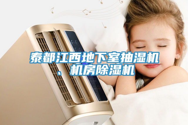 泰都江西地下室抽濕機(jī)、機(jī)房除濕機(jī)