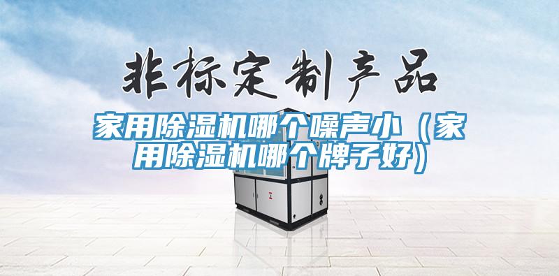 家用除濕機(jī)哪個(gè)噪聲?。矣贸凉駲C(jī)哪個(gè)牌子好）