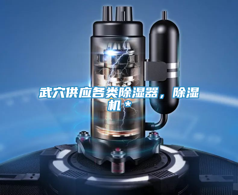 武穴供應(yīng)各類除濕器，除濕機(jī)＊