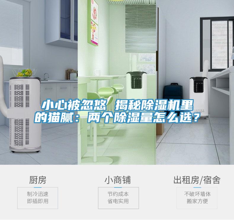 小心被忽悠 揭秘除濕機(jī)里的貓膩：兩個(gè)除濕量怎么選？