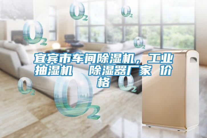 宜賓市車間除濕機(jī)，工業(yè)抽濕機(jī)  除濕器廠家 價(jià)格