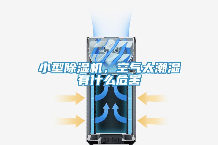 小型除濕機，空氣太潮濕有什么危害