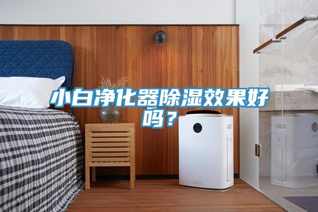 小白凈化器除濕效果好嗎？
