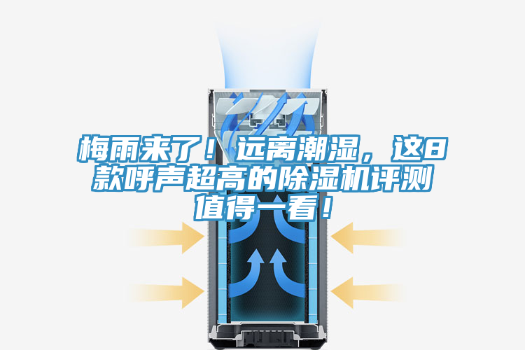 梅雨來了！遠(yuǎn)離潮濕，這8款呼聲超高的除濕機(jī)評測值得一看！