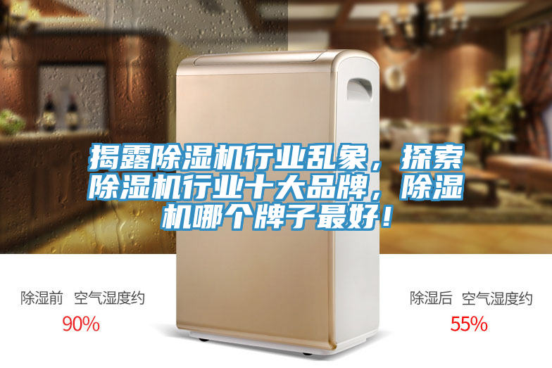 揭露除濕機(jī)行業(yè)亂象，探索除濕機(jī)行業(yè)十大品牌，除濕機(jī)哪個(gè)牌子最好！