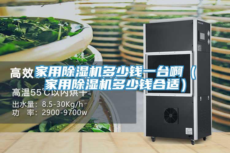 家用除濕機(jī)多少錢一臺?。矣贸凉駲C(jī)多少錢合適）
