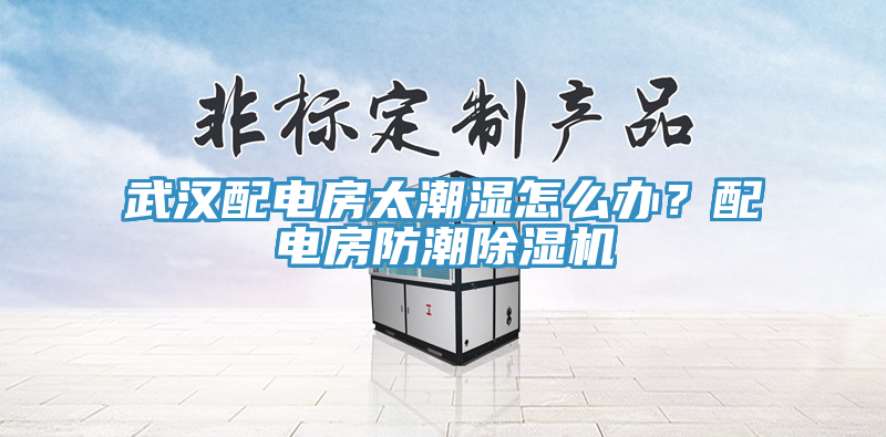 武漢配電房太潮濕怎么辦？配電房防潮除濕機(jī)