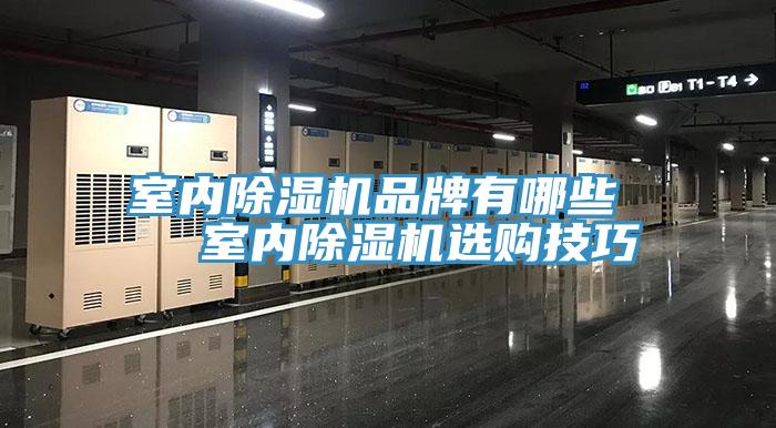 室內(nèi)除濕機品牌有哪些   室內(nèi)除濕機選購技巧
