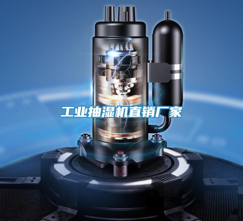 工業(yè)抽濕機(jī)直銷(xiāo)廠(chǎng)家