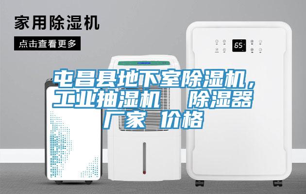 屯昌縣地下室除濕機(jī)，工業(yè)抽濕機(jī)  除濕器廠(chǎng)家 價(jià)格