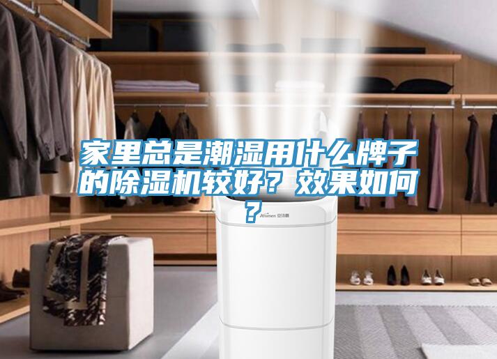 家里總是潮濕用什么牌子的除濕機(jī)較好？效果如何？