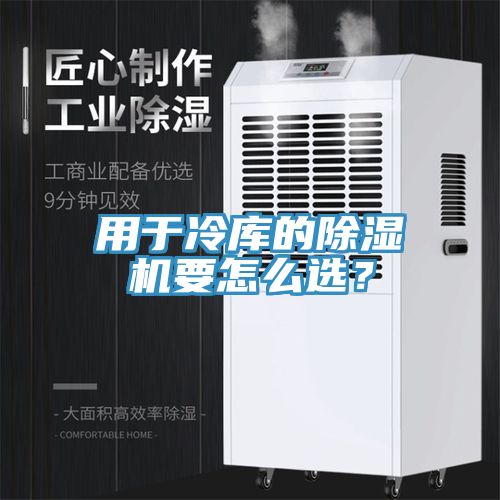 用于冷庫的除濕機要怎么選？