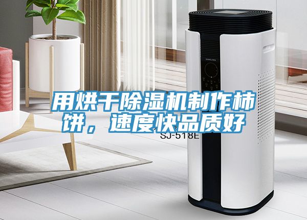 用烘干除濕機制作柿餅，速度快品質(zhì)好